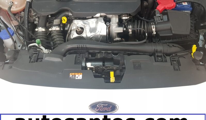 Ford Fiesta 1.5 Tdci Trend 6-VEL  85Cv lleno